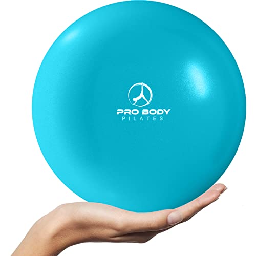 Ab Exercises Exercise Ball