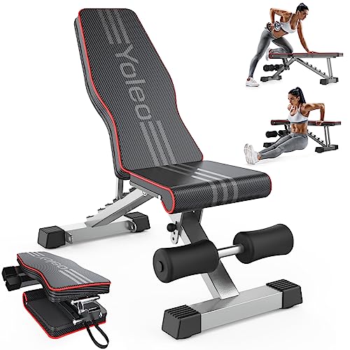 Adjustable Dumbbell Bench Press