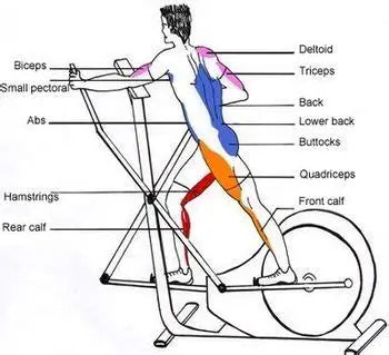 Can Elliptical Build Muscle