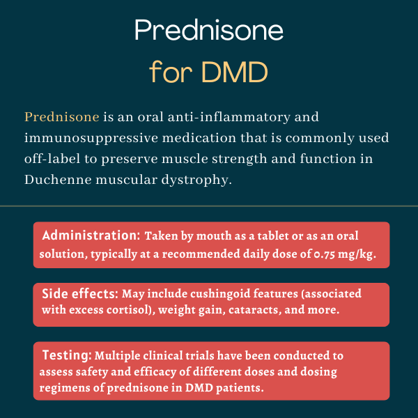 Can Prednisone Help Build Muscle