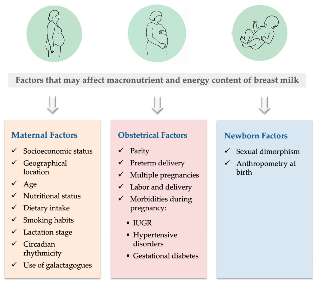 Does Diet Affect Breast Milk Nutrition