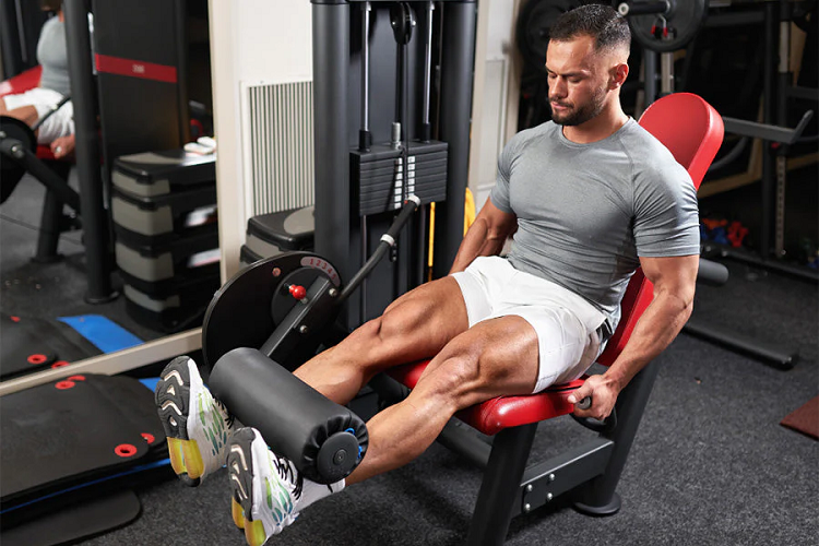 Does Leg Extension Build Muscle