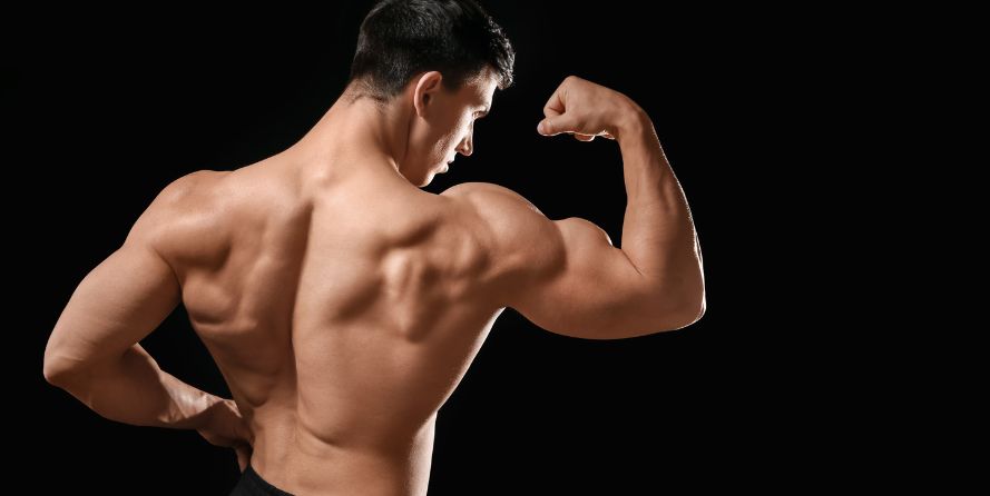 How Much Testosterone to Build Muscle