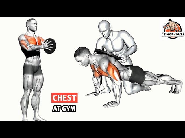 How to Build Chest Muscle Fast