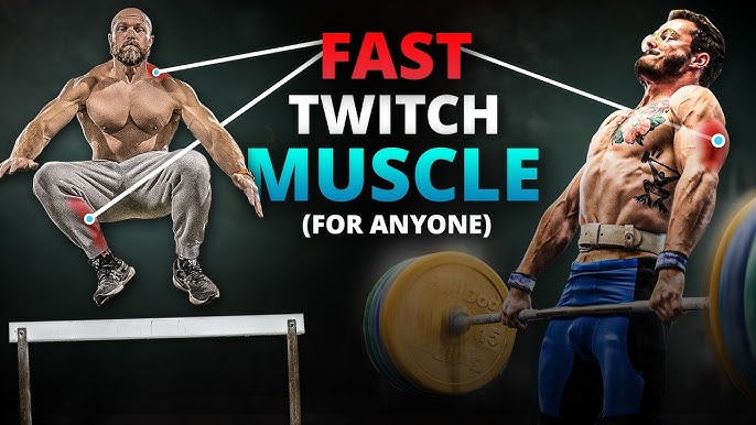 How to Build Fast Twitch Muscle Fibers