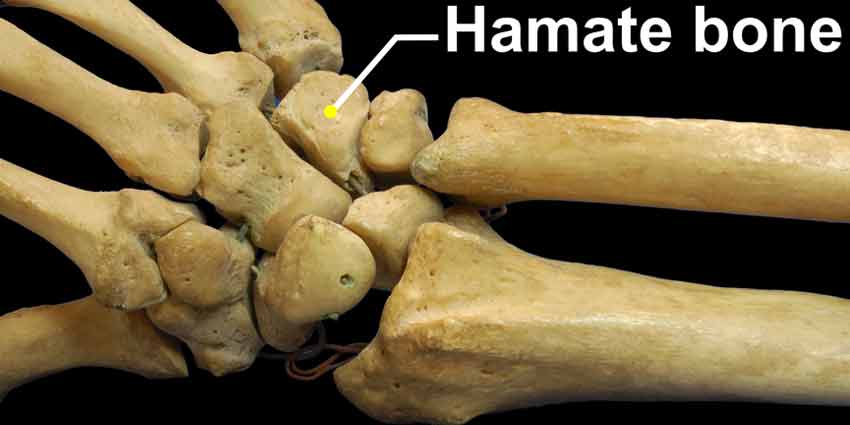 How to Prevent Hamate Bone Injury Baseball