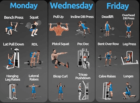 What is a Good Gym Workout Schedule