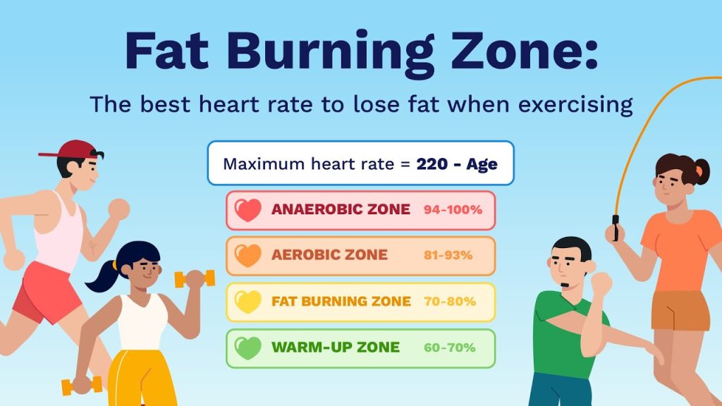 What Part of Your Body Uses Cardio Endurance